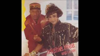 Michie Mee And L.A. Luv - A Portion From Up North (Album Version)