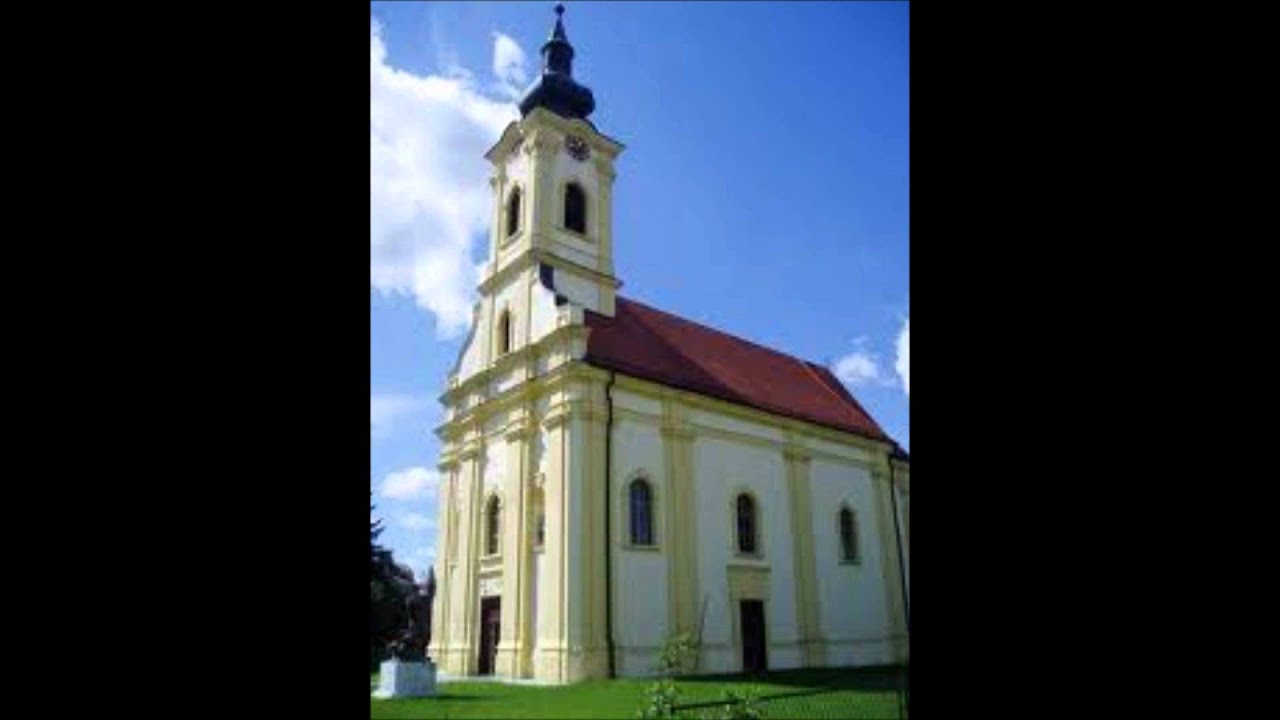 drenovčani malo nas je al nas ima.wmv