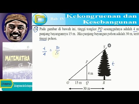 Video: Dari mana sebagian besar massa di pohon berasal?