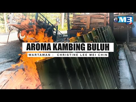 Video: Apakah Hama Buluh: Petua Mengurus Hama Buluh Di Taman