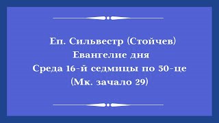 Еп. Сильвестр (Стойчев). Евангелие дня. Среда 16-й седмицы по 50-це (Мк. зачало 29)