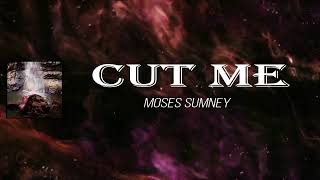 Moses Sumney - Cut Me (Lyrics)