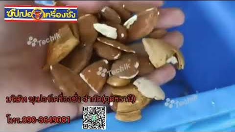 Almond Kernel Shell Separation Optical Color Sorter Machine