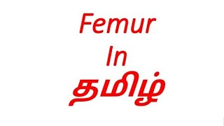 Femur in தமிழ் / Anatomy of Femur in தமிழ் /Femur anatomy in தமிழ்