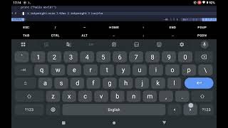 Lazyvim But Im Using Termux