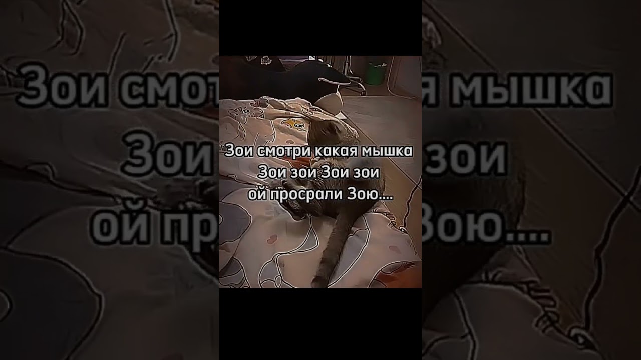 ребята делаем актив этому челу:)@Черныш_02 #wildcraft #furry #sansmeme