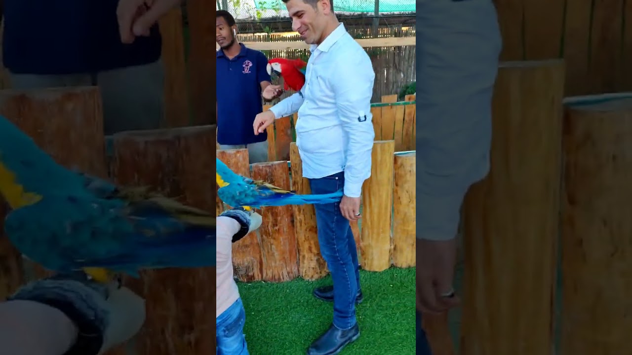 أحلى مشوار قضيناه بحديقة الحيوانات 🐱🐫🐦🕊🦅😍  كان مشوار ممتع جداً