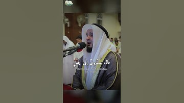 بكاء الشيخ مشاري راشد العفاسي تلاوة خاشعة من سورة هود اكتب شيء تؤجر عليه