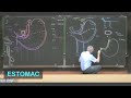 Anatomie de lestomac abdomen 1