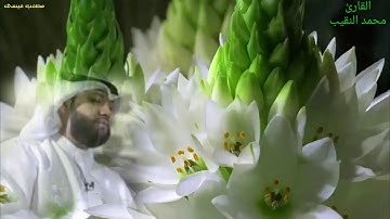 إن آلله وملائكته يصلون على النبي...القارئ محمد النقيب