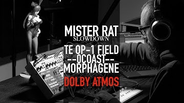 SLOWDOWN / OP-1 Field - Make Noise  / DOLBY ATMOS