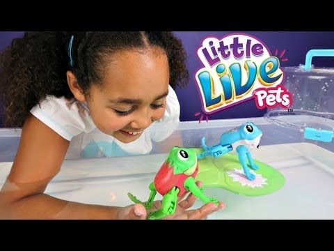 little-live-pets-frogs-&-lily-pad---frog-race-challenge---kids-toy-review-&-play-2