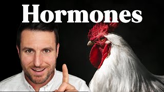 How Rooster Testicles Changed Medicine: The Discovery of Hormones | Patrick Kelly