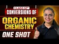 Class 12 Organic Chemistry Conversions One Shot | All Important Reactions | Board 2026