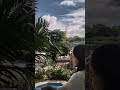 #youtubeshorts
