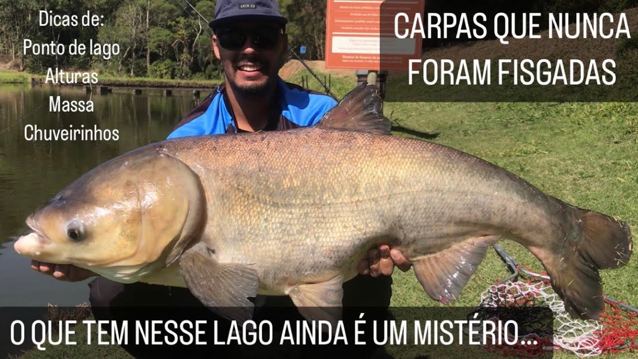 FAZENDA KIRI - PESQUEIRO E RESORT, O REFÚGIO DAS GRANDES CARPAS INTOCADAS…