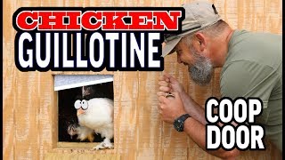 guillotine chicken door coop
