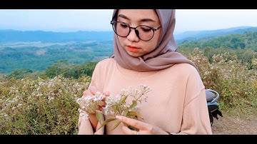 Waves In Your Mind | Pixel 3 1080p 60fps