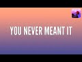 Snøw x Cøzybøy x Skinny Atlas - you never meant it (Lyrics)