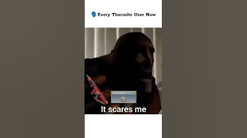 Every Thermite User Now 🤣