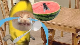 BANANA CAT 🍌🐱 BAD LUCK 😿 COMPILATION 2 ( 8 MINUTES )