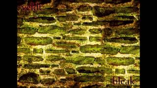 Veldt - Bleak