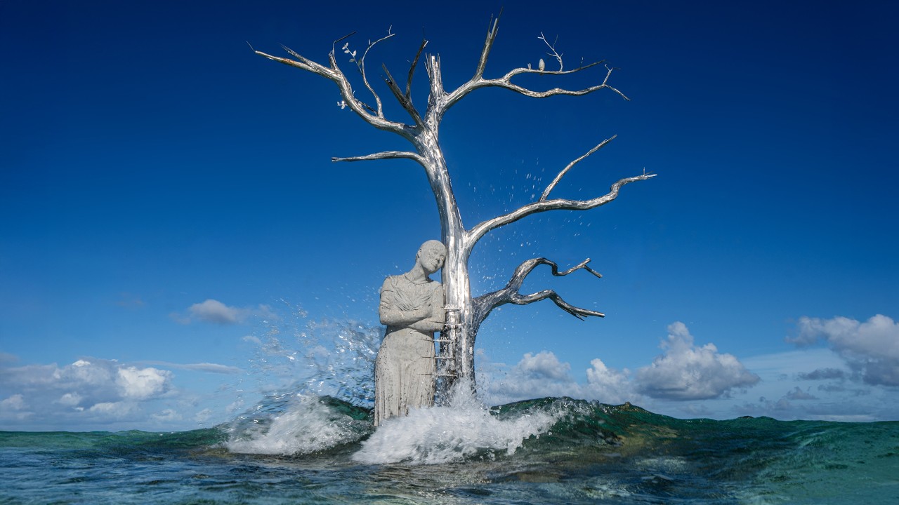 The Solomon Siren