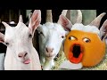 Annoying Orange - Storytime: The 3 Billy Goats Gruff!