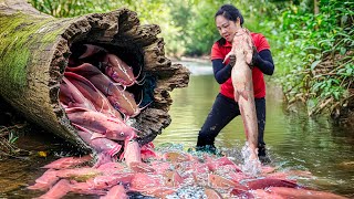 Harvesting Giant Catfish in Tree Trunk & Goes to Market Sell | How to Trap Fish Simple | Lý Thị Hằng