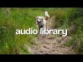 Happy calm travel song [No Copyright Music] Stick With It - Nathan Moore
