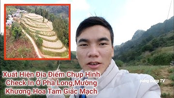 Toàn Cảnh Nì Sỉ 4 và Hoa Tam Giác Mạch Pha Long Mường Khương,Điểm Check in Giới Trẻ.