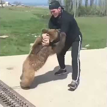 Download lagu Khabib Vs Bear Part 2