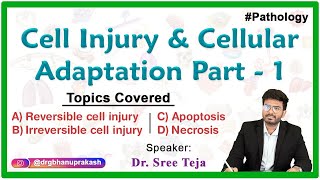 Cell Injury Part & Cell Adaptations Part 1 - General Pathology || Fmge, Neet pg, and USMLE Step 1