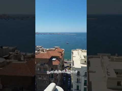 ملقتش ونس للعمر احسن منك فارس قطرية شعر Alex محطة الرمل 