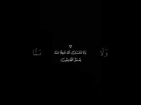 دوستان برای دانلود ویدئوهالینک بالای کانال رو بزنیدمستقیم واردکانال تلگرام میشید أ ح م د الن ف یس