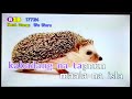 Ugali Ti Hawayano - Ilocano Song (Karaoke)