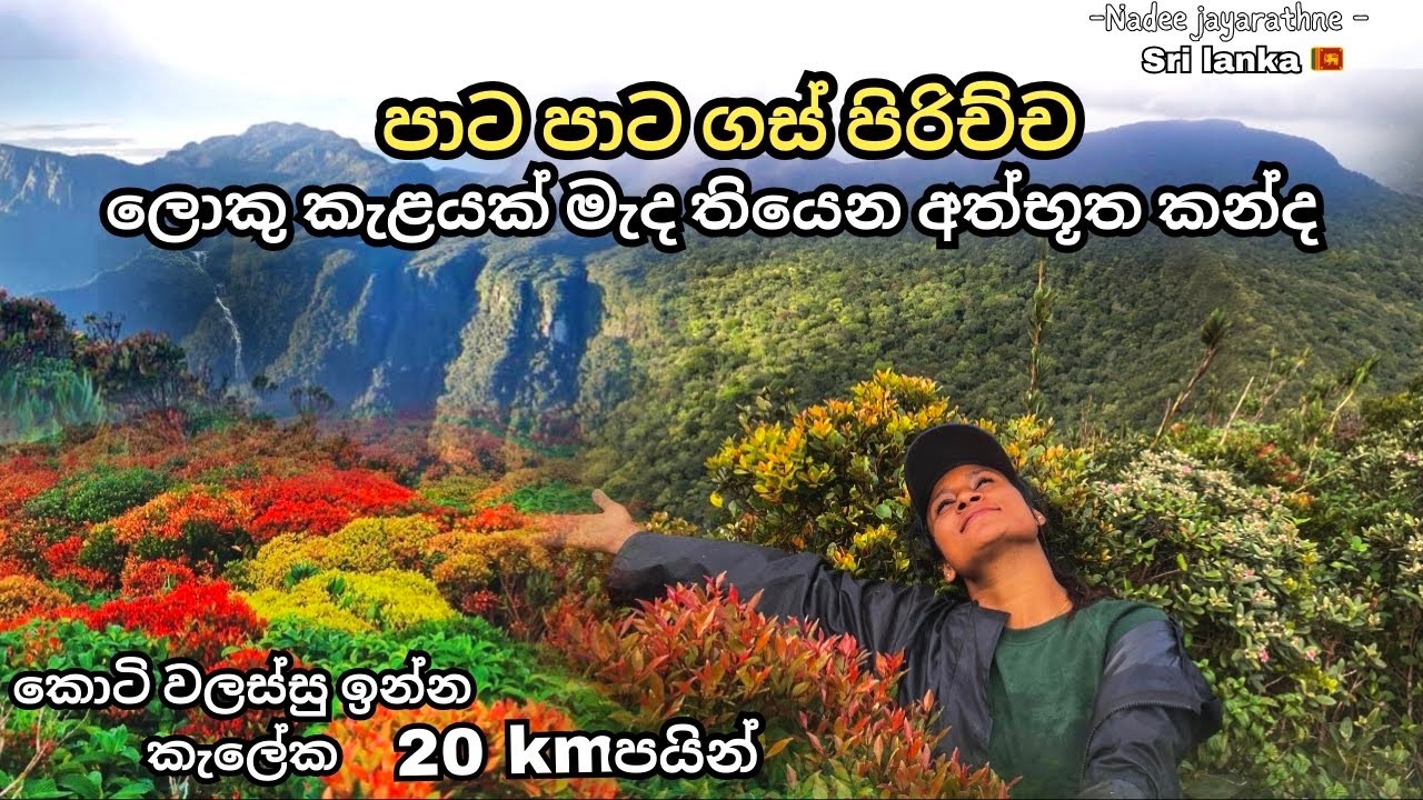 දවස් දෙකක් කැලේ මැදින් දිව්‍යලෝකය සොයා  |Thunhisgala hike _nadeejayarathne