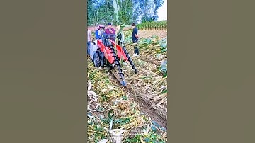 Removing or processing the corn stalks- Good tools and machinery can increase work efficiency
