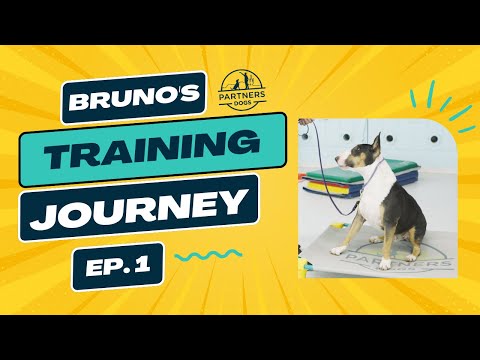 Bruno  Episode 1 video thumbnail
