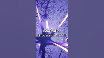 Your Brain Is Faster Than a Computer!