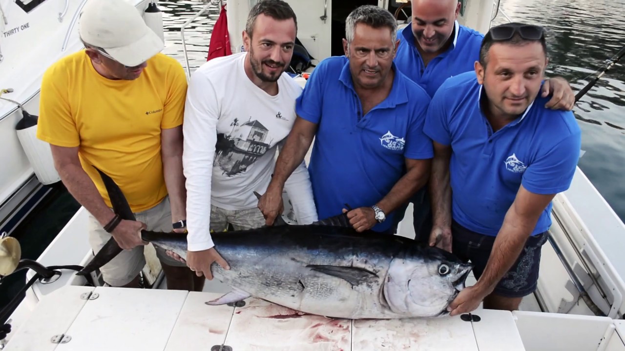 Big game fishing Herceg Novi 2018 - YouTube