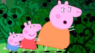 Peppa Pig English Episodes | Peppa Pig visits the Mystery Fountain | Peppa Pig Official