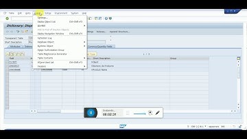Curso SAP ABAP Gratis en Español - 4 - Crear y ver registros de Tablas en ABAP
