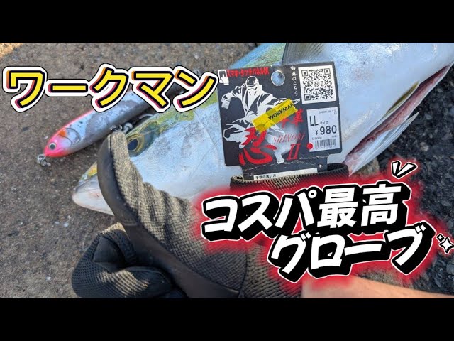  　ワークマングローブ グローブ 手袋 メンズ ワークマン手袋 手袋作業用 釣り 作業用 ゴルフ