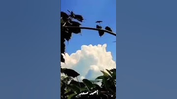 قرآن كريم #القرآن_الكريم #المصحف #اللهم_صل_وسلم_على_نبينا_محمد