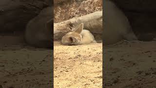 Someone Had A Lot To Say This Morning