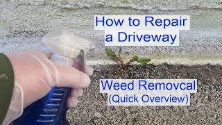 How to Repair Driveway - Weed Removal and stop them coming back! (Quick Overview)