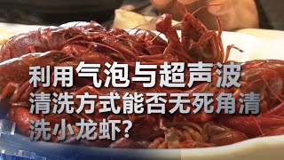 利用气泡与超声波清洗方式能否无死角清洗小龙虾? | 科学实验室