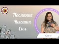 Послание Высших Сил. Общий расклад. Юлия Шалина