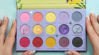 NO PAN LEFT BEHIND 2026 UPDATE #1 | you won't believe how many palettes there are